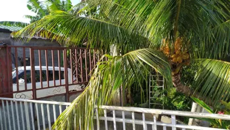 Maison de charme à Sainte-Rose avec piscine partagée - Photo 19