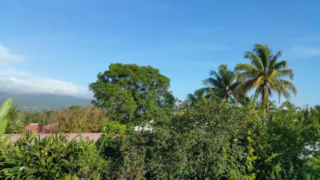 Appartement confortable à Lamentin 30 m² avec vue montagne - Photo 4