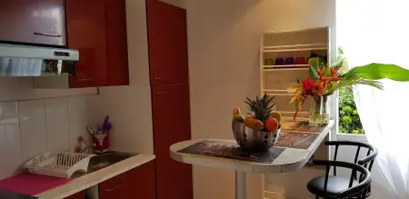 Appartement confortable à Lamentin 30 m² avec vue montagne - Photo 6