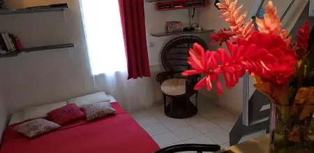 Appartement confortable à Lamentin 30 m² avec vue montagne - Photo 8