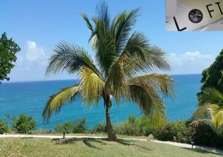 Appartement confortable à Lamentin 30 m² avec vue montagne - Photo 16