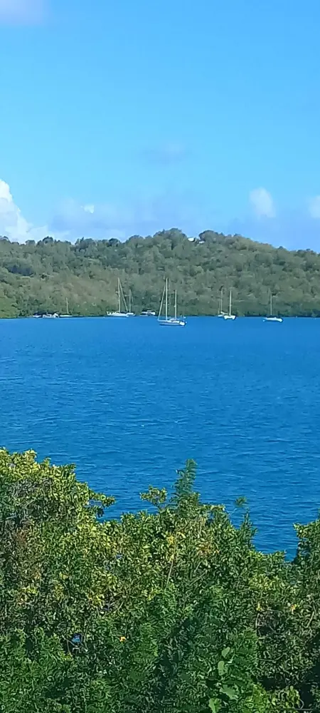 Studio charmant avec vue sur la mer - 45 m² - Le Robert - Photo 24
