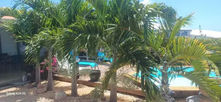 Villa élégante à Bouillante avec piscine privée - Photo 44