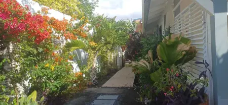 Villa élégante à Bouillante avec piscine privée - Photo 47