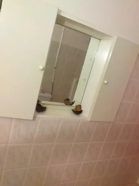 Appartement charmant Morne-À-l'Eau, Appartement 4 personnes à Morne À l'Eau - Photo 3