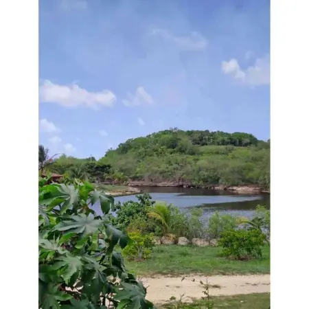 Bungalow élégant à Anse-Bertrand avec jardin privé - Photo 3