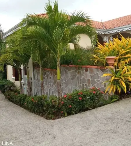 Appartement cosy à Le Morne-des-Esses, 37 m², piscine - Photo 4