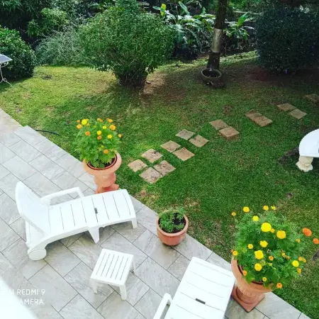Appartement cosy à Le Morne-des-Esses, 37 m², piscine - Photo 5