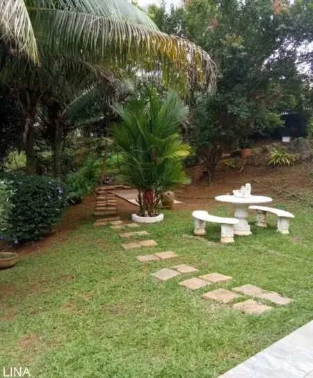 Appartement cosy à Le Morne-des-Esses, 37 m², piscine - Photo 10