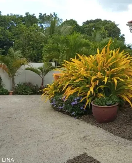 Appartement cosy à Le Morne-des-Esses, 37 m², piscine - Photo 11