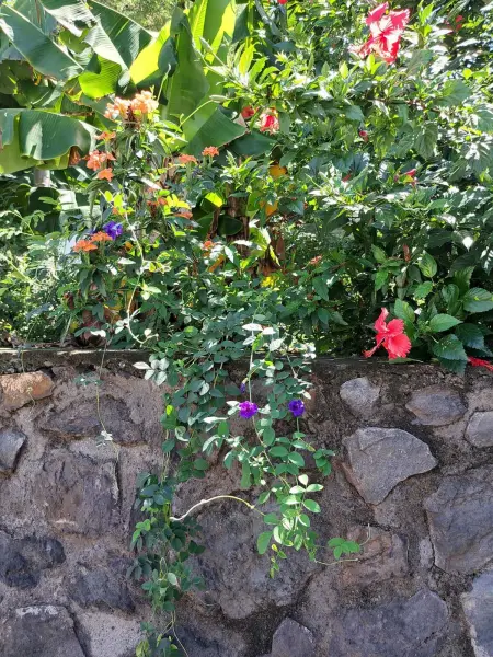 Maison de vacances à Saint-Leu, Maison 4 personnes à Saint Leu - Photo 26