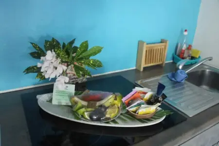 Studio confortable à La Trinité 30 m² avec vue mer et jardin - Photo 7