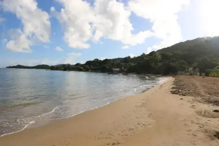 Studio confortable à La Trinité 30 m² avec vue mer et jardin - Photo 11