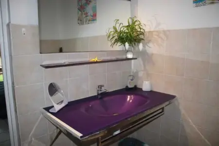 Studio confortable à La Trinité 30 m² avec vue mer et jardin - Photo 29