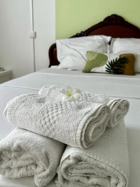 Appartement charmant à Saint-Joseph, 50 m², vue sur mer, piscine - Photo 4