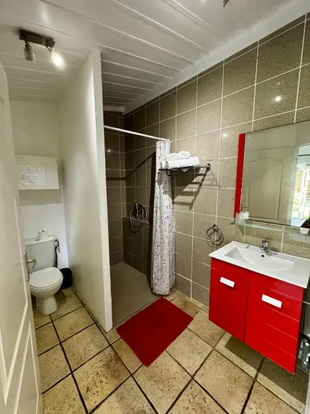 Appartement charmant à Saint-Joseph, 50 m², vue sur mer, piscine - Photo 12