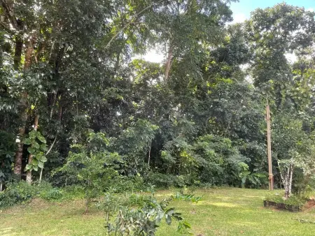 Maison spacieuse à Sainte-Luce, 220 m² avec jardin - Photo 16