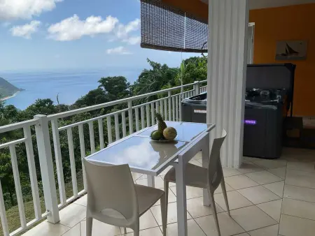 Appartement confortable à Deshaies avec vue sur la mer - 55 m² - Photo 9