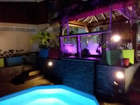 Villa luxueuse avec piscine privée à Sainte-Anne + jacuzzi - Photo 35