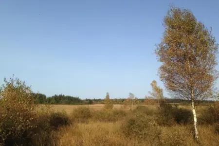 Sunshine 49, Tente de soleil de luxe à Dochamps - Photo 18