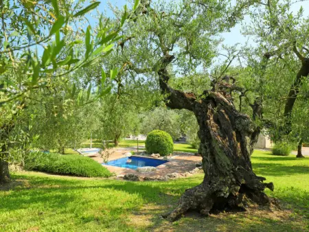 Nest, Maison 4 personnes à Penna in Teverina - Photo 32