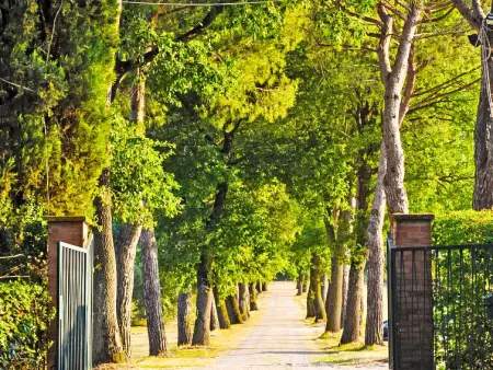 Angeli, Villa 18 personnes à Perugia - Photo 38