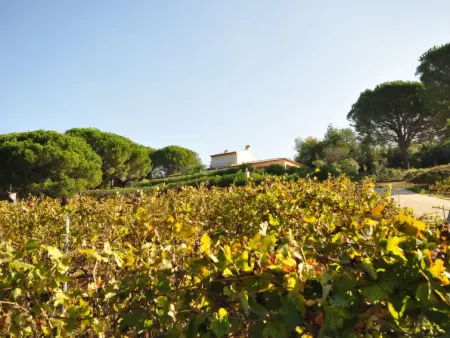 Hameau du Brost, Villa 6 personnes à La Croix Valmer - Photo 15