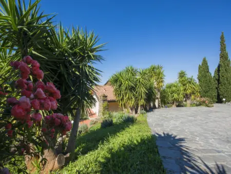 Delfina, Villa 12 personnes à Forte dei Marmi - Photo 48