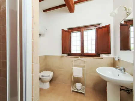 Le Nuvole, Gite 6 personnes à Castiglione del Lago - Photo 19