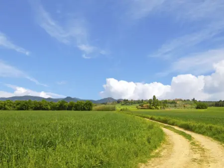Le Nuvole, Gite 6 personnes à Castiglione del Lago - Photo 33
