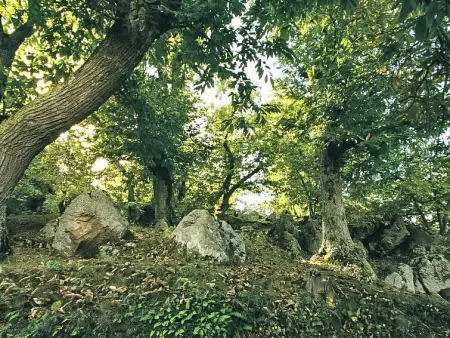 Casale Ulisse, Gite 8 personnes à Roccastrada - Photo 24