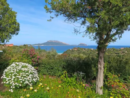 Gardenia, Maison 6 personnes à Pittulongu - Photo 27