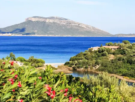 Gardenia, Maison 6 personnes à Pittulongu - Photo 29