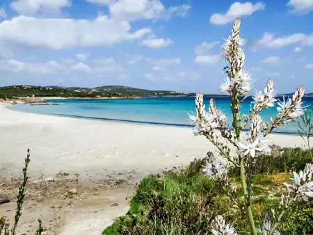 Gardenia, Maison 6 personnes à Pittulongu - Photo 31