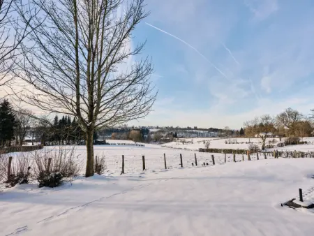 Au bord du Lac 1, Maison 5 personnes à Butgenbach Nidrum - Photo 18