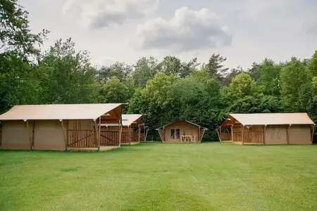Safari tent for 5 person, Séjour nature, Turnhout - Photo 1