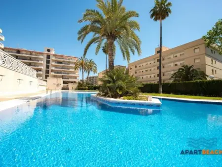 La Pineda: Terrasse, Piscine, Parking, Clim, Appartement 4 personnes à La Pineda - Photo 20