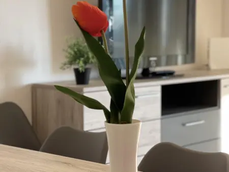 Appartement spacieux en bord de mer avec climatisation, terrasse et parking gratuit - Photo 21