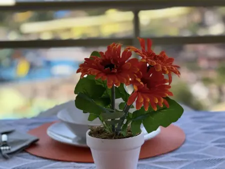 Bel appartement avec terrasse, vue mer, proche Aquopolis, cuisine équipée - Photo 21