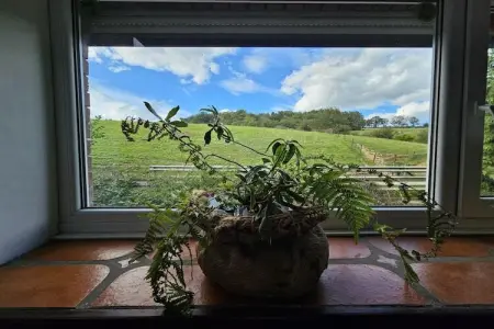 La Fermette du trône, Ferme en Belgique avec jardin verdoyant - Photo 29