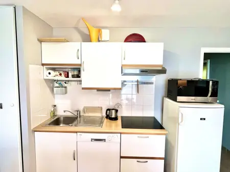 Étel - Appartement 3* moderne avec WIFI, animaux admis et parking privatif - Photo 5