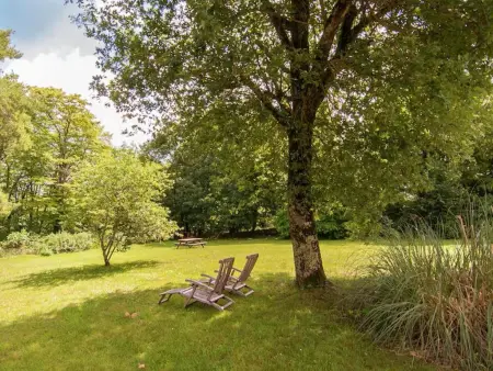 Ollie, Gîte de charme pour qui aiment la tranquillité - Photo 8