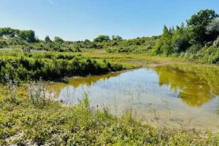 KARTHUIZER O/0101, Appartement dans les dunes près de la marina de Nieuwpoort - Photo 22