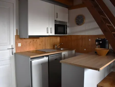 Confortable Appartement 2 pièces en mezzanine avec jardin à Bolquère - Photo 1