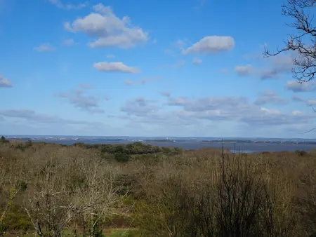 Appartement 2 à 4 personnes, proche du Golfe du Morbihan - Photo 12