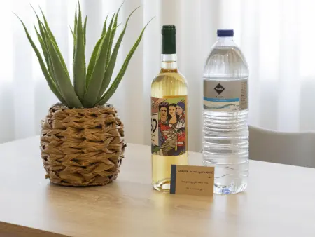 Appartement 1 chambre à Bonfim avec jardin commun, à proximité du centre de Porto - Photo 18