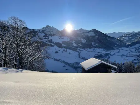 Heimersberg, Appartement 3 personnes à Zweisimmen - Photo 6