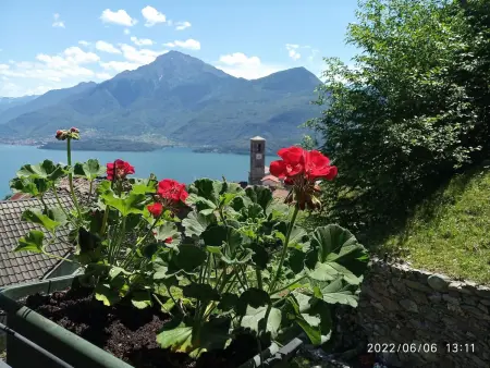 Il Nibbio, Maison 4 personnes à Gravedona - Photo 27