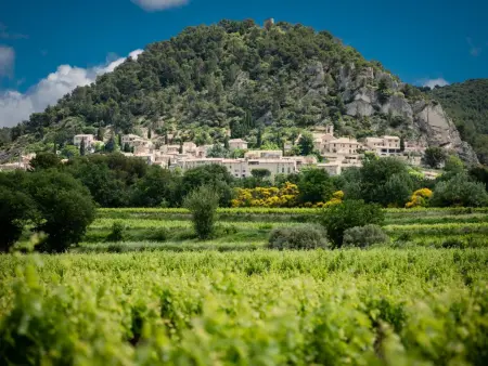 Bastide St John, Maison caractéristique avec Clime et piscine - Photo 53