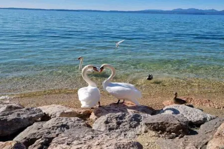 Costa al Sole A Diciotto, Séjour avec vue sur le lac à Lazise - Photo 39